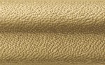 Gold Embossing